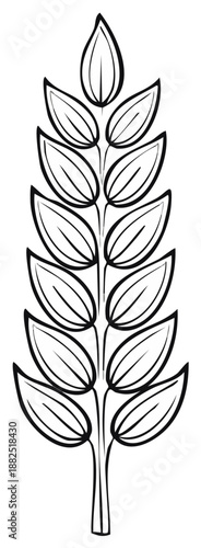 Stylized wheat stalk illustration with leaves grain agriculture harvest autumn design elements outline