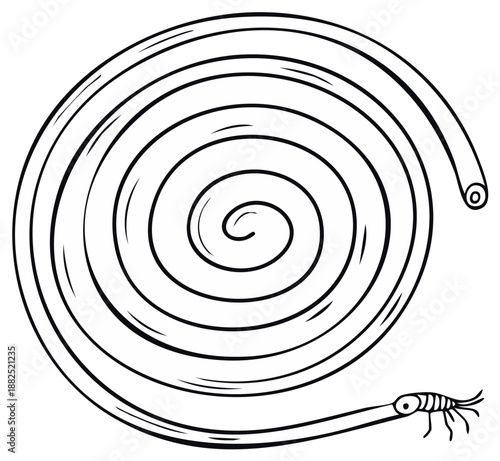 Linear art of a hose swirling back into a simple bug at the end.