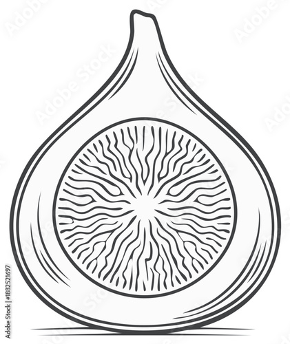 Stylized line art drawing of a halved fresh fig showing internal seed pattern in a simple outline illustration