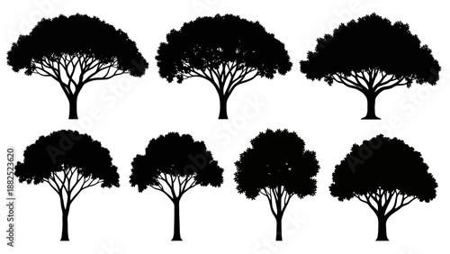 Collection of nine black silhouette trees with varying branching patterns and dense foliage shapes