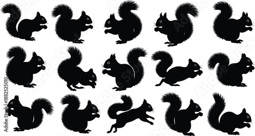 Black, silhouettes, of, squirrels, and, chipmunks, in, various, poses, eating, nuts, jumping, running, animal, collection, isolated, on, white, background, vector, illustration, set