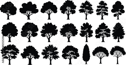 Collection of black deciduous tree silhouettes, leafy forest oak and maple elements, summer garden vegetation set isolated on white background for nature landscape, vector