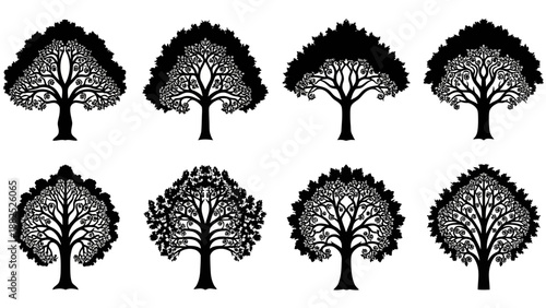Series of eight black and white stylized tree silhouettes with detailed branching and leaf patterns