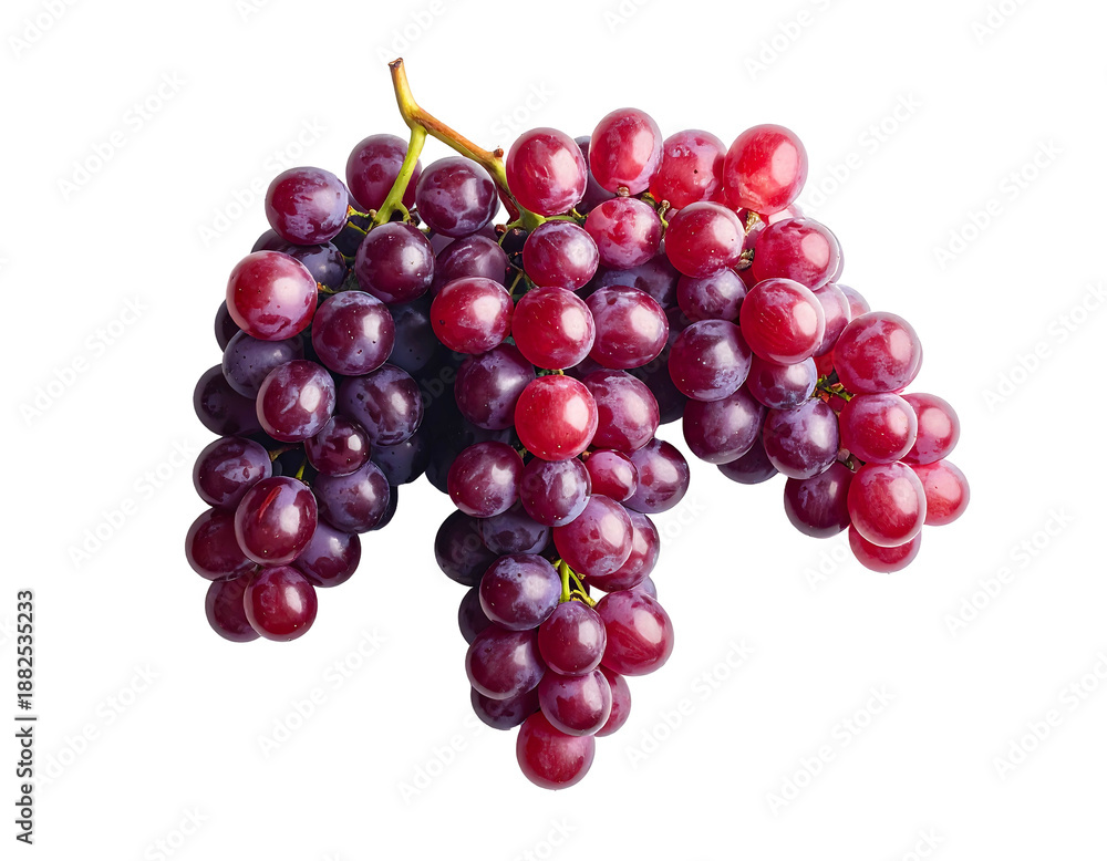Fototapeta premium A cluster of ripe, deep red and purple grapes on a dark background