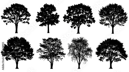 Collection of black silhouette tree illustrations in various shapes and branch structures arranged in two rows