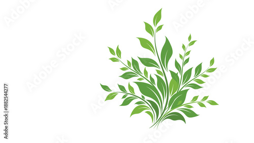 Lush green leafy plant illustration with multiple stems and delicate foliage arranged in a cluster on a plain white background.