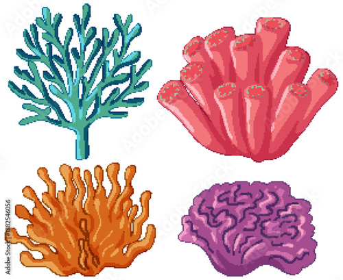 Collection of Colorful Coral Reef Species Vector Illustration Set