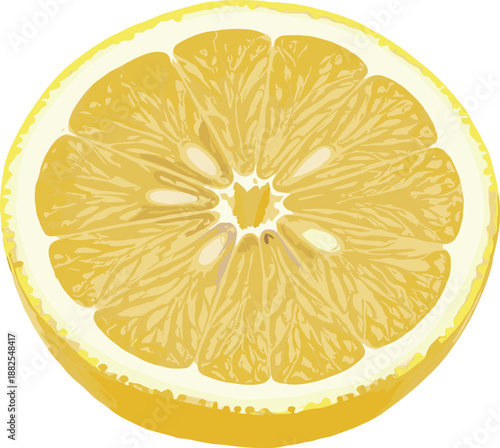 Fresh yellow lemon slice vector illustration featuring a cross section of citrus fruit isolated on white background for refreshing summer drink and organic food packaging design.