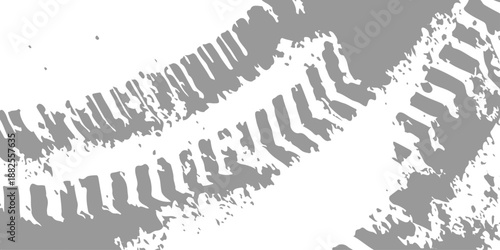 Black and white abstract background featuring a vector nature pattern of snowflakes with fish and tree icons for a textured sign design illustration