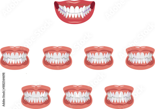 Collection Of Human Teeth And Smile Types Featuring Different Dental Alignment And Anatomy For Dentistry Orthodontics Oral Hygiene Education Graphic