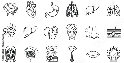Collection of monochrome line art icons depicting various internal human body organs systems and beauty wellness care components for medical illustration