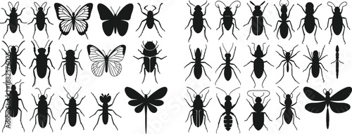 Collection of insect silhouettes including beetles butterflies dragonflies isolated on white background, entomology wildlife vector illustration set design elements icons