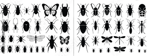Collection of insect silhouettes including beetles butterflies dragonflies isolated on white background, entomology wildlife vector illustration set design elements icons