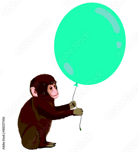 Baby monkey with green color balloon