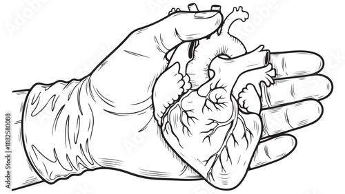 Gloved hand holding anatomical heart illustration for medical education research and specialty clinic materials