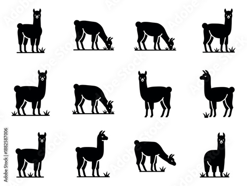Stylized silhouette llama set featuring different poses including standing and grazing for design elements