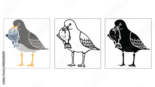 Three seagulls holding fish in different color styles and illustration techniques