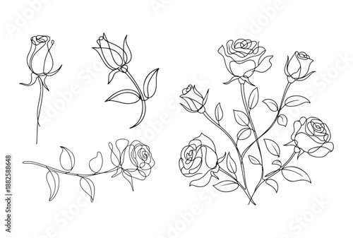 rose flower line art design, rose with leaves vector, botanical floral outline element illustration.
