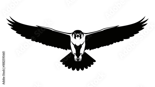 Bird flying downwards with spread wings silhouette