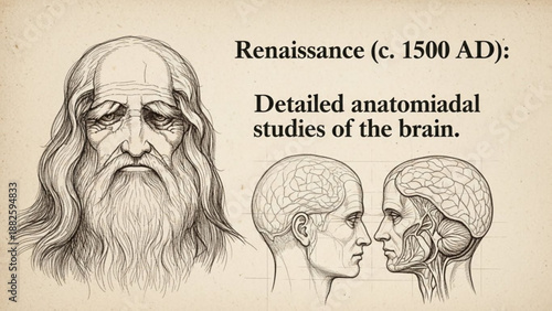 Leonardo da vinci style anatomical brain studies illustration