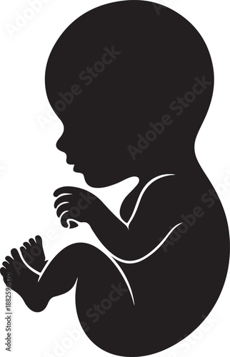 Human fetus icon or newborn and unborn baby silhouette isolated on white background. Vector illustration