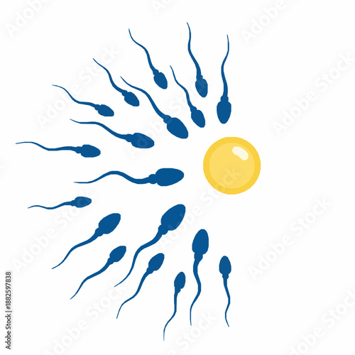 Sperm competition toward egg vector background fertility concept