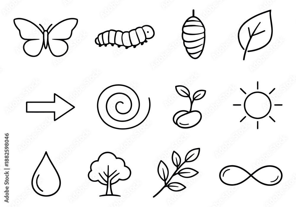 Obraz premium Hand drawn line art nature and life cycle icons set featuring butterfly transformation, plant growth, and natural elements for educational and environmental concepts
