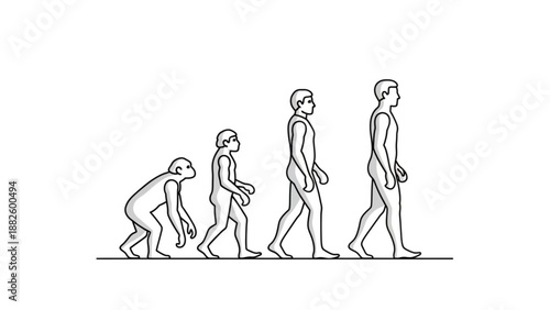 Illustration of human evolution from ape to modern man a linear progression of development for science and education concepts isolated on white