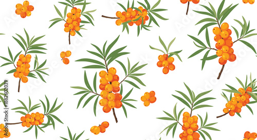 A seamless pattern of sea buckthorn branches with orange berries and green leaves, creating a vibrant and healthy botanical background on a white backdrop.