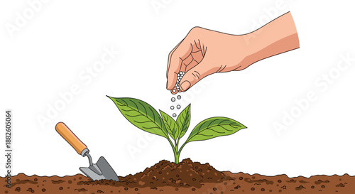A hand carefully sprinkling granular fertilizer on a young green plant sprout growing in rich soil, with a garden trowel nearby.