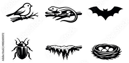 Stylized graphic wildlife icon set featuring a bird, lizard, bat, beetle, nest, and branch for educational or conservation projects