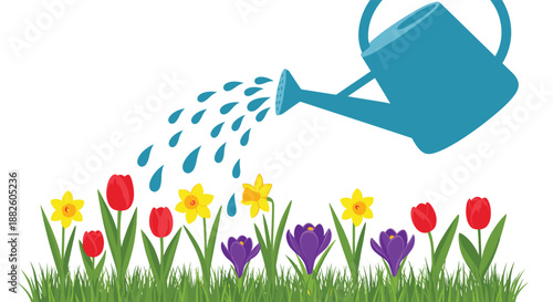 A blue watering can pouring water onto a row of colorful spring flowers, including tulips, daffodils, and crocuses, in green grass.