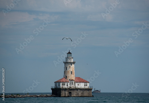 Wallpaper Mural Lonely Lighthouse in the Open Sea with Flying Seagull Torontodigital.ca