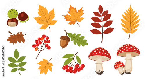 Comprehensive collection of autumn themed items including colorful leaves, mushrooms, berries, acorns, and chestnuts on a white background.