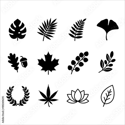 Collection of various natural botanical leaf and plant icons, including oak, fern, monstera, and ginkgo biloba leaves
