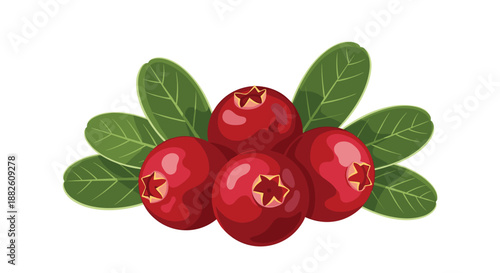 Small cluster of four ripe, red cranberries with green leaves, illustrating a fresh and tart berry used in sauces and juices.