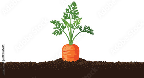 Single orange carrot with green leafy tops growing in a cross-section of dark, rich soil, illustrating the farm-to-table concept.