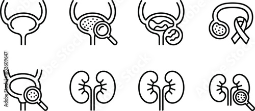 Medical Icons Set Featuring Kidneys and Uterus