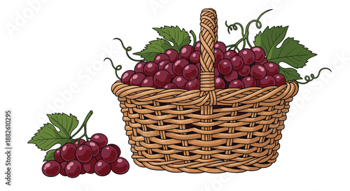 Wicker basket overflowing with ripe red grapes with green leaves and vines, with a small bunch on the side, on a white background.