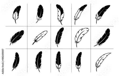 Hand drawn feather set featuring various line art and silhouette bird designs for decorative elements