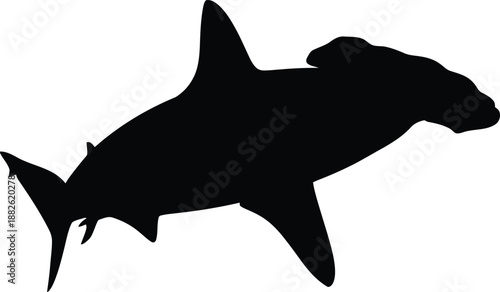 Vector silhouette of a dangerous shark predator swimming underwater in the blue marine ocean, isolated on white as a wild sea animal illustration for nature art