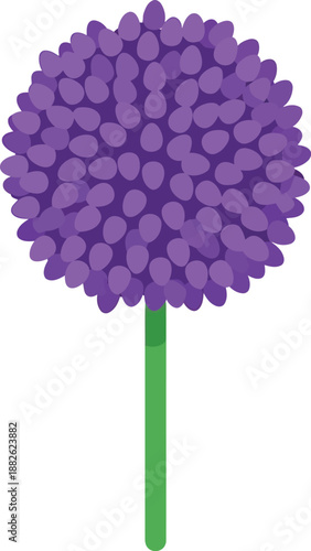 Vector Illustration of Purple Allium Flower Isolated on White Background for Botanical Design