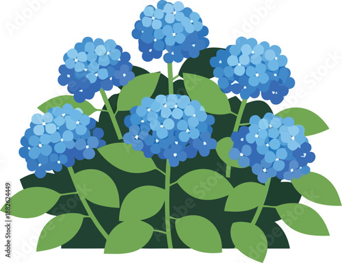 Blue Hydrangea Bush Illustration, Lush Floral Clipart for Spring and Summer Design Projects