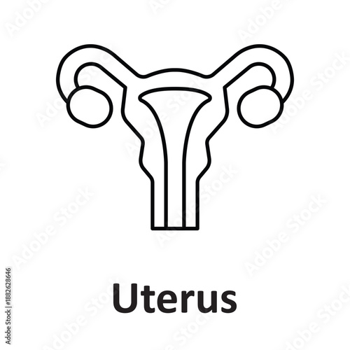 Uterus  Vector Icon which can easily modify or edit