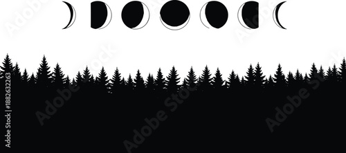 Moon phases over forest silhouettes landscape, night sky lunar cycle above pine trees, mystical nature scenery, black vector illustration isolated