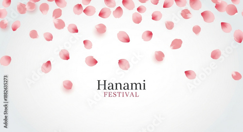 Pink cherry blossom petals falling gently hanami festival celebration background with soft white gradient