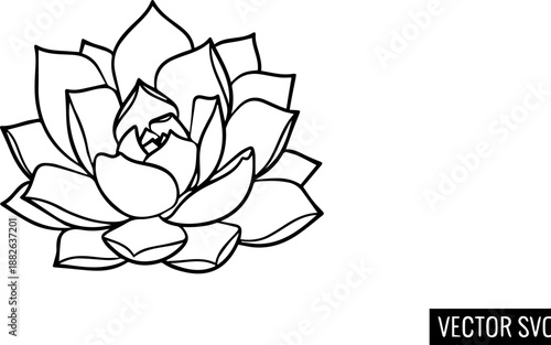 Minimalist Succulent Plant Illustration in Black and White Line Art Style, Echeveria Botanical Sketch