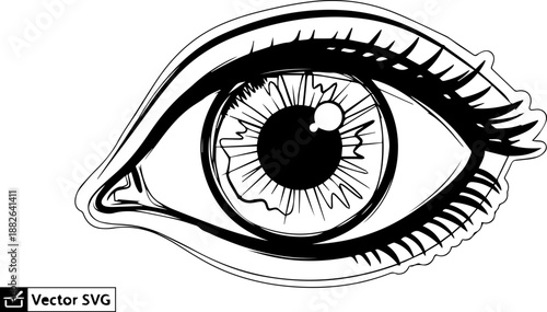 Stylized eye illustration with prominent eyelashes and detailed iris