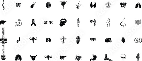 Ancient egyptian hieroglyphics on a white background