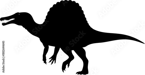 A spinosaurus dinosaur silhouette, a distinctive theropod with a large back sail walking.